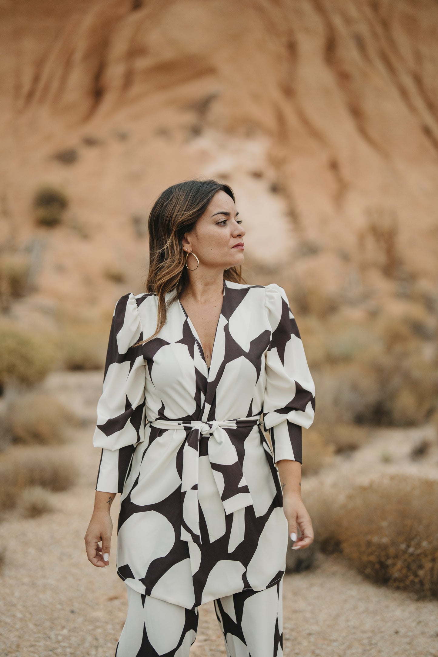 Conjunto GOBI